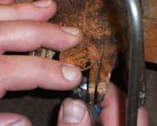 Coin cutting, using a piercing saw Coin cutting, using a piercing saw